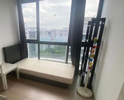 Riversound Residence (D19), Condominium #513196931